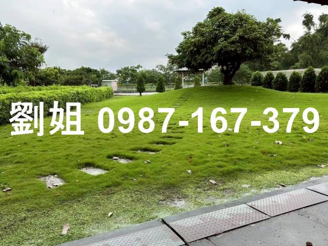 萬丹農舍千坪庭園鋼骨廠房88快速道路景觀農舍