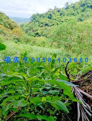 新竹透天拍賣-1