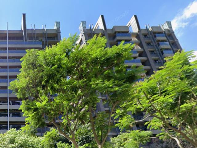 新北樹林拍賣大樓-3