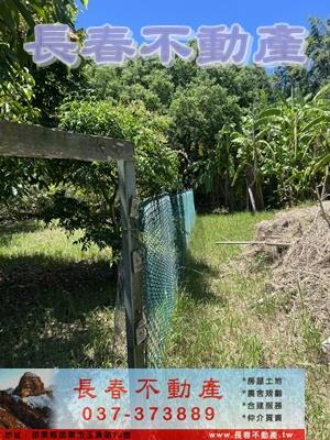 西湖農舍-6
