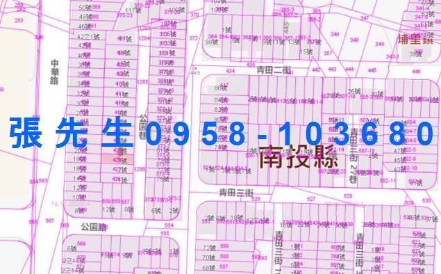 南投埔里透天法拍-2
