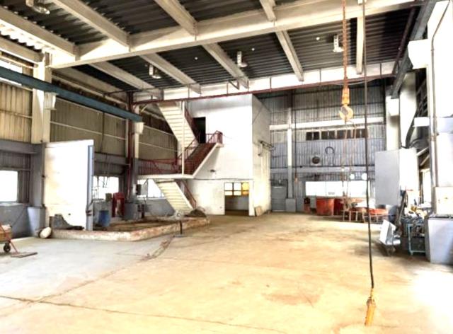 桃園大園廠房-4