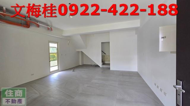宜蘭宜蘭市別墅-2
