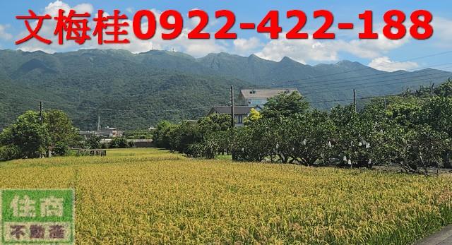 頭城透天-2