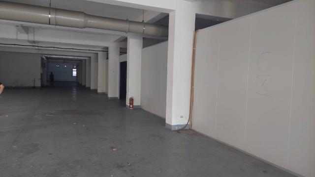 桃園中壢廠房-2