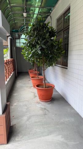 桃園桃園區大樓-7