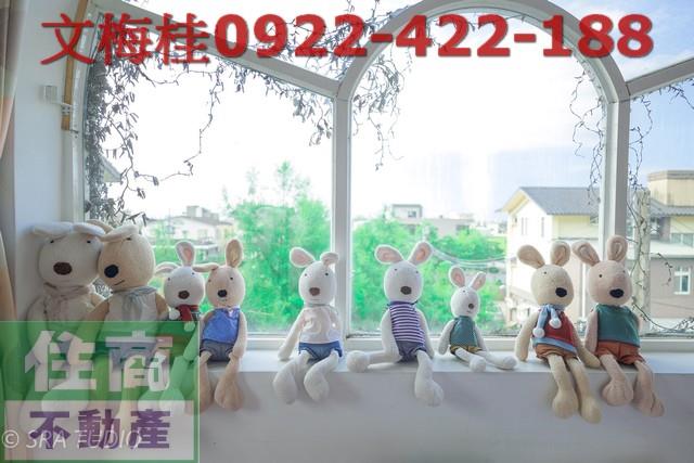 宜蘭五結農舍-3