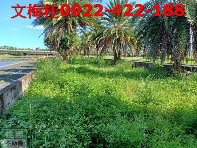 宜蘭五結農舍-7