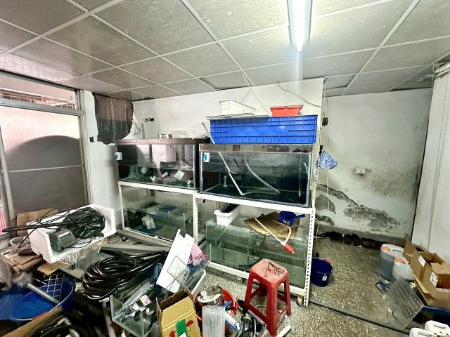 大肚公寓-1