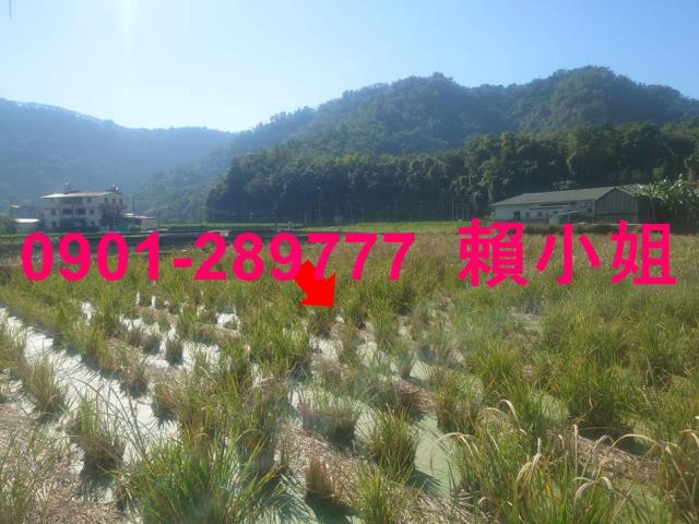 埔里法拍透天-6