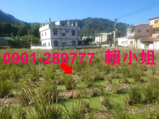 埔里法拍透天-8