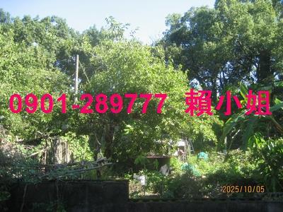 大里透天法拍-6