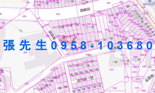 南投法拍透天-3