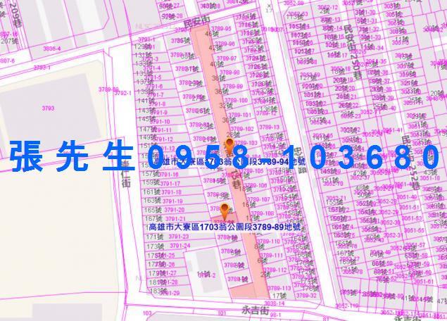 高雄大寮拍賣透天-4