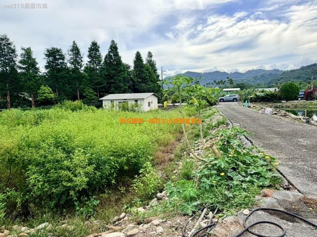名間農舍-3