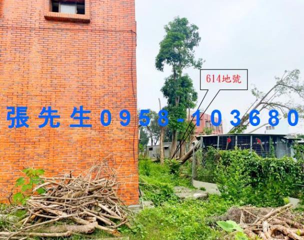 嘉義西區法拍透天-3