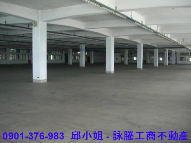 桃園大園廠房-1