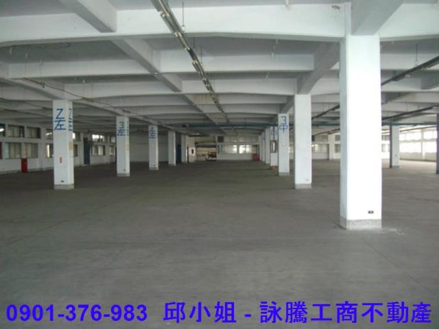 桃園大園廠房-2