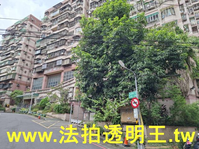 新北樹林法拍大樓-1