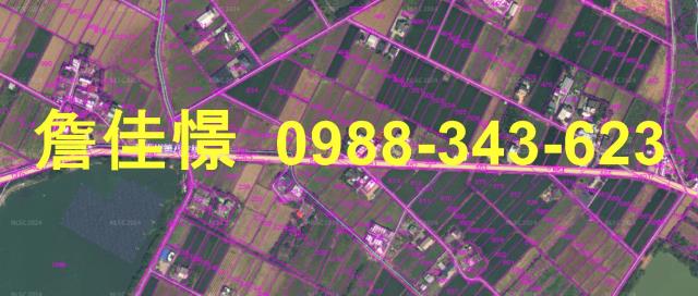 新竹法拍透天-4