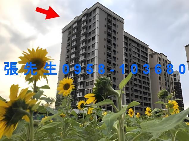 新竹新埔法拍大樓-4