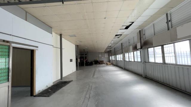 衝姐新市廠房台南廠房新市廠房出租台南廠房出