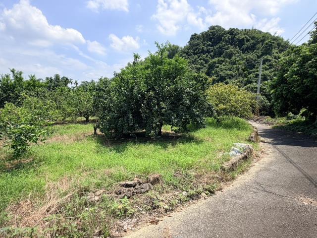 南投倉庫-4