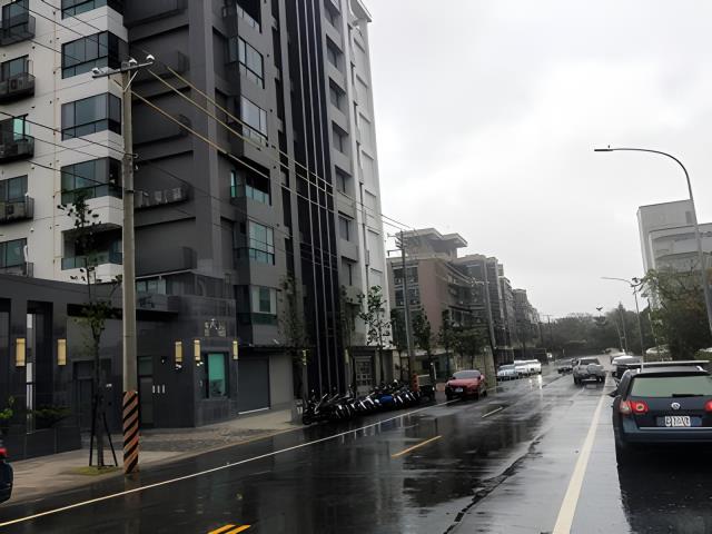 桃園拍賣華廈-5