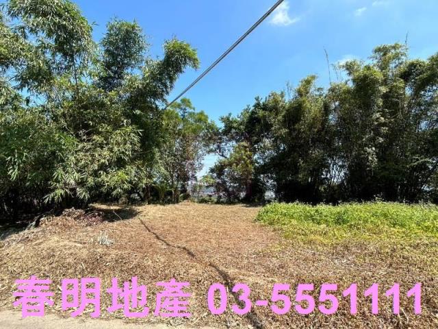 寶山華廈-9