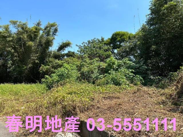 寶山華廈-8