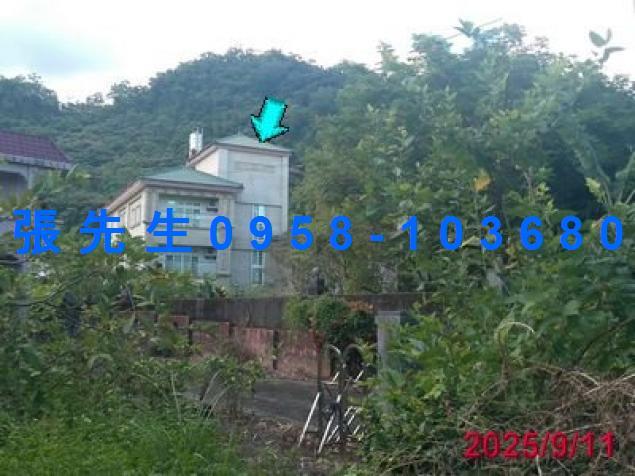 宜蘭頭城法拍別墅-0