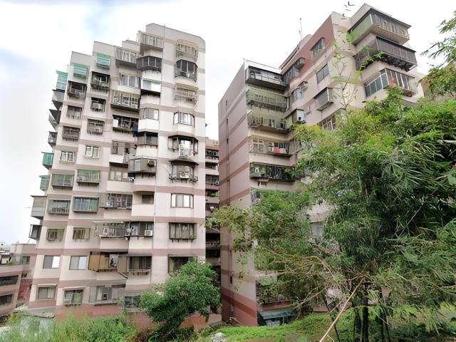 新北樹林法拍大樓-3