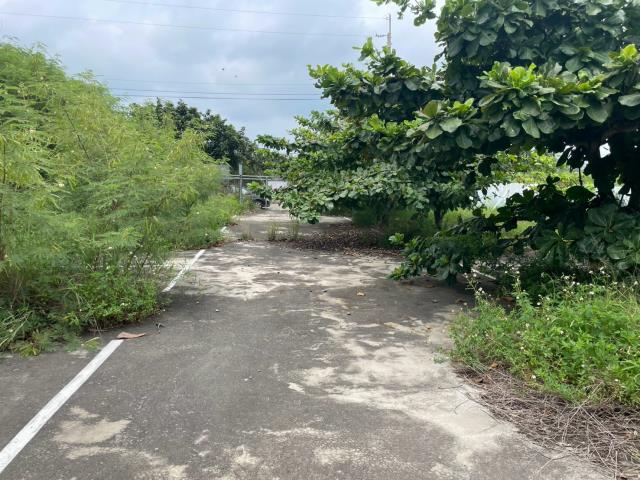 清水農舍-2