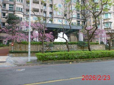 新北法拍大樓-2