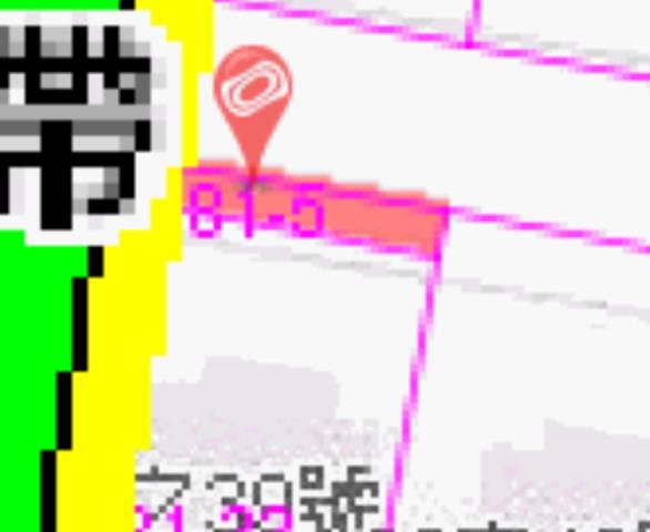 嘉義朴子法拍別墅-7
