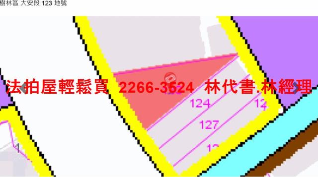 新北樹林法拍透天-10