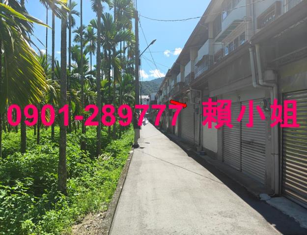 南投埔里透天法拍-3