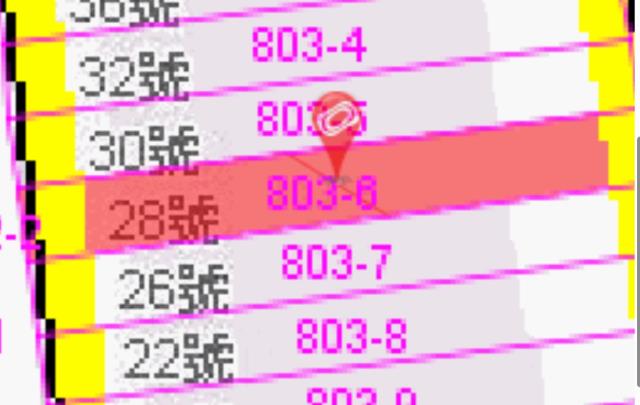 高雄燕巢法拍別墅-7
