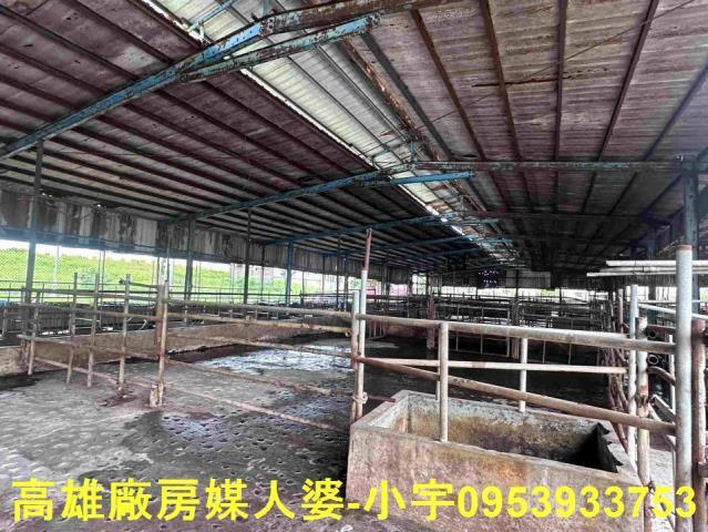 林園廠房-2
