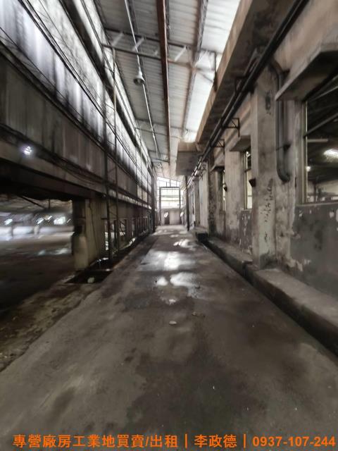 桃園平鎮廠房-5