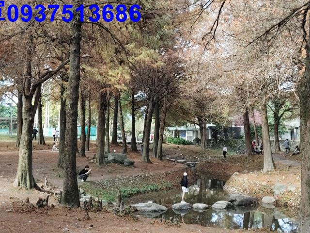 羅東華廈-14