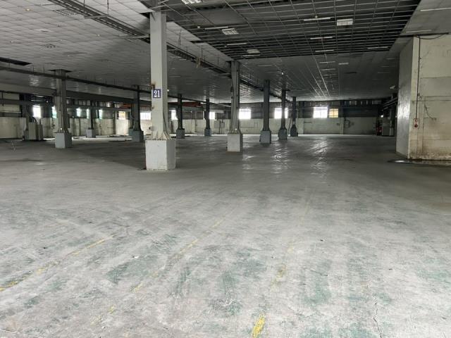 廠房衝姐台南廠房出租善化廠房出租善化天車廠房