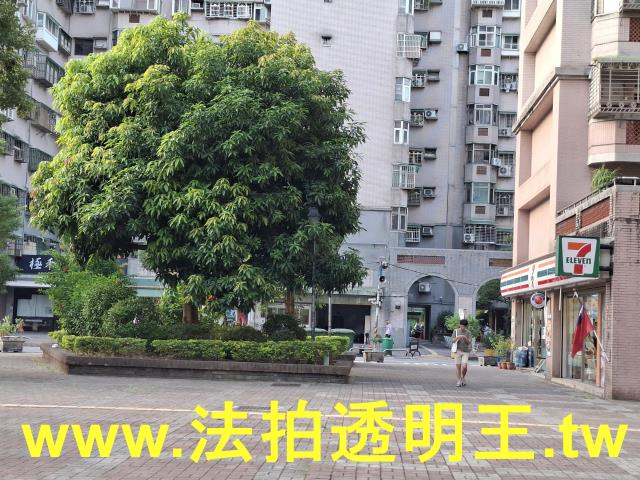 中和拍賣大樓-3