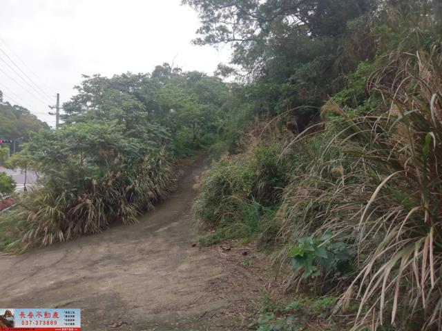 苗栗山坡地-2