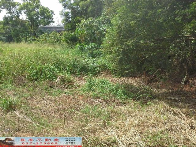 苗栗農地-0