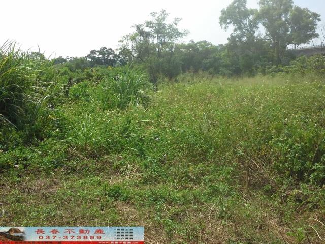 苗栗農地-1