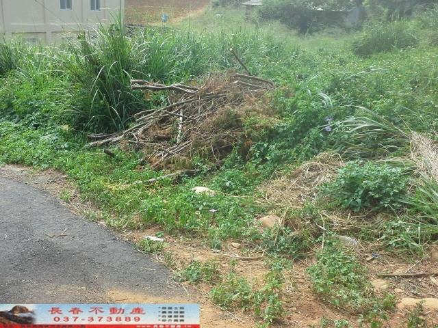 苗栗農地-3