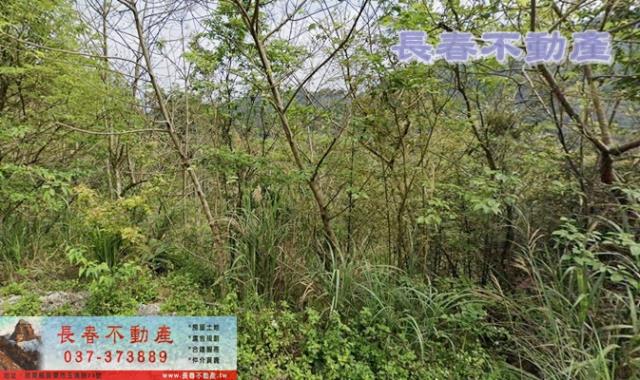 苗栗農地-1