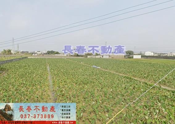 8F099公館大坑美田