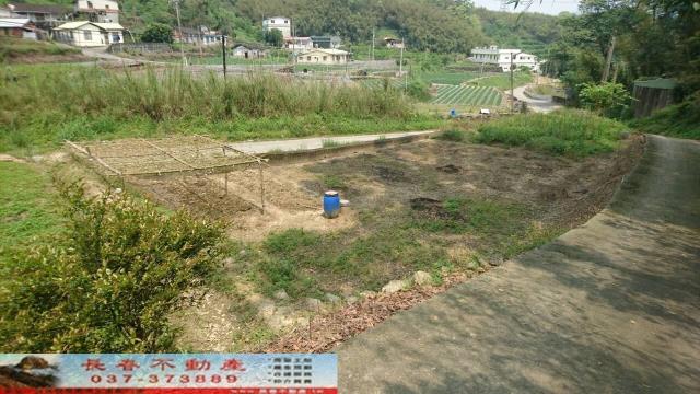 大湖農地-2